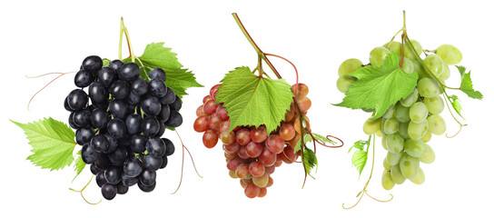 Fototapeta premium Bunches of fresh grapes against transparent background, set. Different varieties