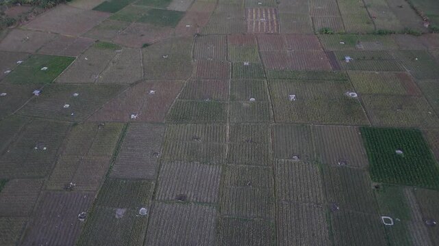 ​Aerial top down view of agricultural farm fields in grid pattern