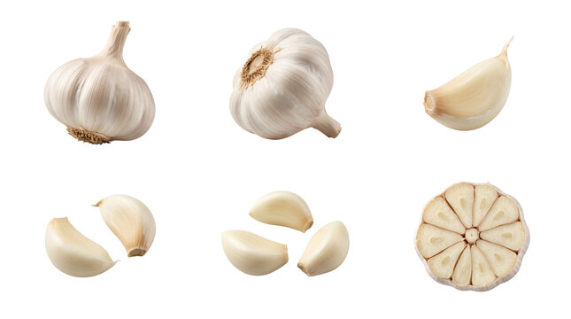 Collection of whole garlic bulbs, individual peeled cloves, and a cross section slice of a fresh garlic bulb isolated on a transparent background