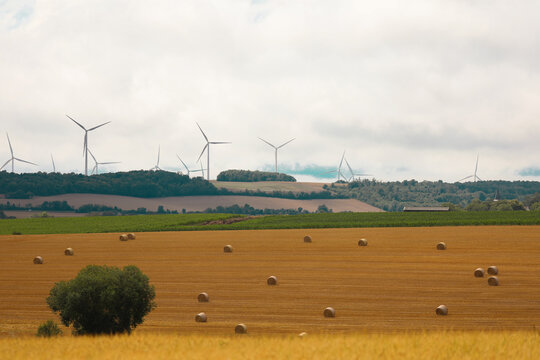 &Eacute;oliennes &agrave; l'horizon derri&egrave;re un champ de bottes de foin