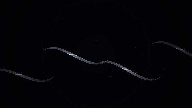 Graceful ribbons of luminous energy flow through the dark cosmic void creating subtle hypnotic patterns that ripple across the vast expanse and capture the silent movement of light