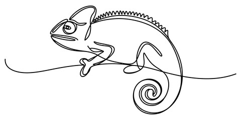 Continuous single line drawing of a cute chameleon lizard isolated on transparent background © Nirob