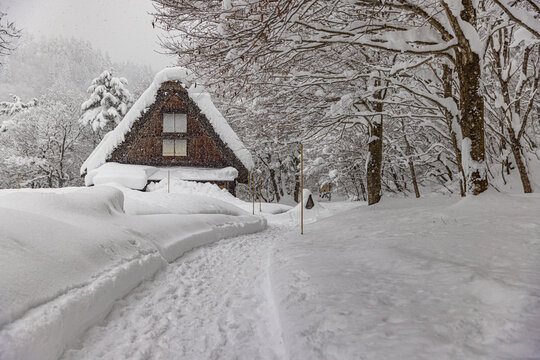 岐阜県　冬の世界遺産 白川郷の雪景色