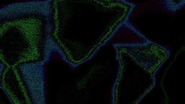 Fluorescent stained cell nuclei and cytoplasm micrograph