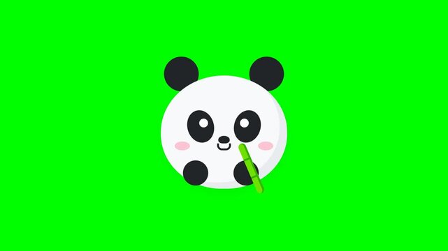 Cute panda heads eating bamboo on bright green background