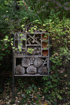 refuge &agrave; insecte dans la nature