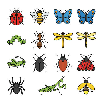 Colorful Illustration of Various Insects and Bugs.