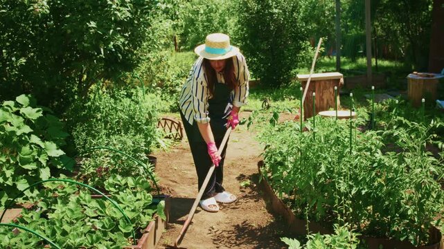 Woman tending garden with care and focus. She wears straw hat and gardening gloves. Sunlight bathes lush green rows of vegetables. Her movements are gentle and methodical