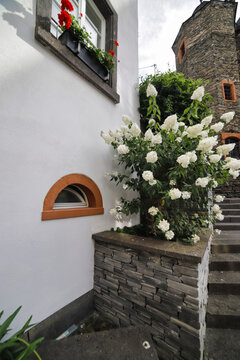 Moselidylle in Beilstein