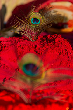 Peacock feather on a mound of red powder during Holi festival, Vrindavan, India