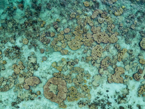 Aerial view of the vibrant coral reef formations in the clear turquoise waters surrounding Karimun Jawa island, Karimunjawa, Central Java, Indonesia.
