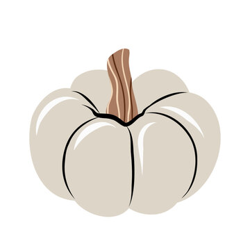 White Cream Pumpkin Vector Illustration Autumn Hand Drawn Style