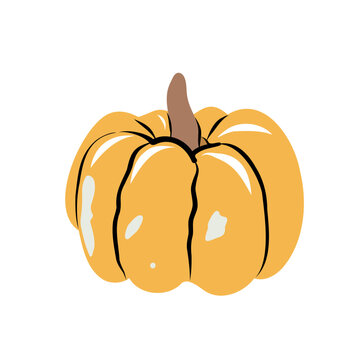 Yellow Mustard Pumpkin Vector Illustration Autumn Hand Drawn Style