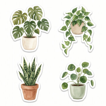 Houseplant stickers, monstera in ceramic pot, trailing pothos vine with heart-shaped green leaves, sculptural snake plant in planter, pilea plant with round leaves. botanical gouache illustration