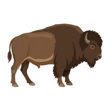 Minimalist American bison buffalo standing side view flat vector design