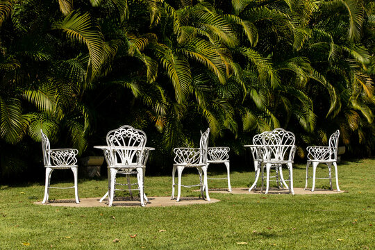 jardim em raposo rj