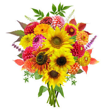 Autumn bouquet. Vibrant bouquet of mixed colorful sunflowers, dahlia and zinnia flowers in floral arrangement isolated on transparent background