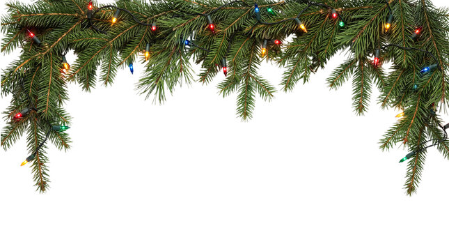 Evergreen christmas garland with colorful isolated on transparent png