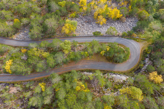 Aerial view of a winding road snaking through a dense forest with vibrant autumn foliage, rocky terrain, and a small stream in Liabygda, More og Romsdal, Norway.