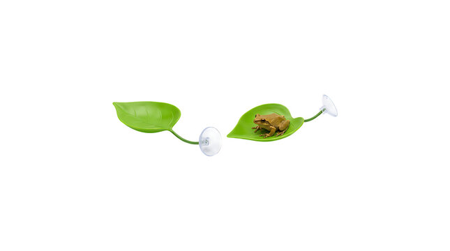 Small frog sitting on a green leaf suction cup aquarium decoration