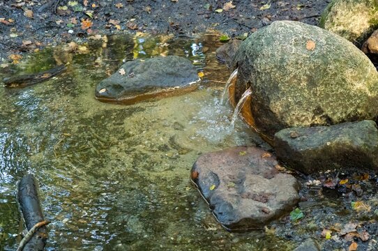 Spring, Small stream flowing over rocks in a wooded area with fallen leaves and a muddy bank