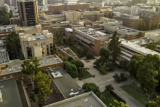 Aerial view of the UCLA Campus featuring brick buildings, courtyards, and lush trees in Westwood, California, United States.