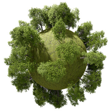 Earth globe lush green woodland on transparent backgrounds 3d rendering png
