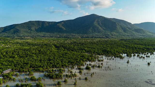 Aerial view of the mangrove forest observation tower in Kemujan, featuring lush mangroves, shallow coastal waters, and a mountain backdrop, Karimunjawa, Central Java, Indonesia.