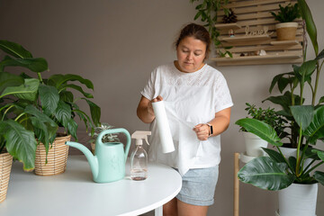 A middle-aged woman cares for her indoor houseplants at a white table, using a paper towel and spray bottle. This image represents domestic plant maintenance, urban gardening, and a healthy lifestyle. © JULIA