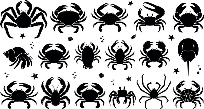Marine crab silhouette vector icon set featuring king crab hermit crab horseshoe crab and lobster shapes for seafood restaurant menu ocean wildlife graphic illustration branding layout