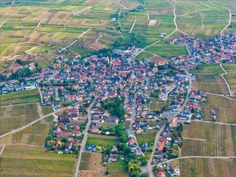 Aerial view of the village of Colmar surrounded by extensive vineyards and agricultural fields in the Alsace wine region, Colmar, Grand Est, France.