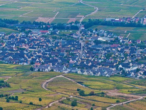 Aerial view of the historic town surrounded by vast terraced vineyards, featuring traditional Alsatian architecture with steep roofs and narrow streets in Colmar, Grand Est, France.