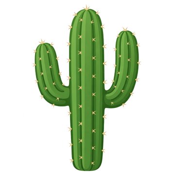 cactus vector illustration