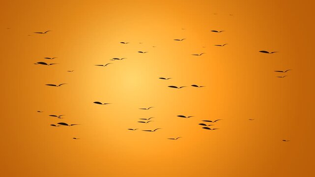Silhouette of a bat swarm flying across a bright orange glowing sunset background for Halloween visuals