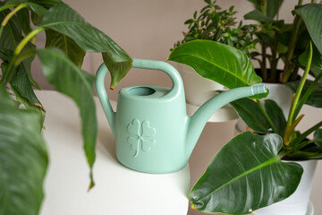A mint green plastic watering can with a clover symbol stands among lush indoor houseplants on a white table, representing home gardening, plant care, and sustainable urban living. © JULIA