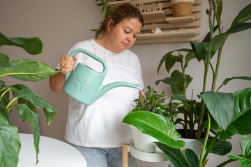A woman in a white shirt waters her indoor houseplant collection using a green watering can, representing domestic care, home gardening, and a sustainable lifestyle in a modern interior. © JULIA