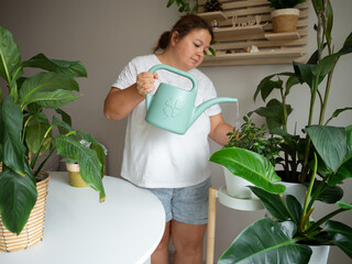 A middle-aged woman waters lush green houseplants with a watering can in a bright home interior. This scene represents urban gardening, domestic wellness, and a sustainable lifestyle. © JULIA