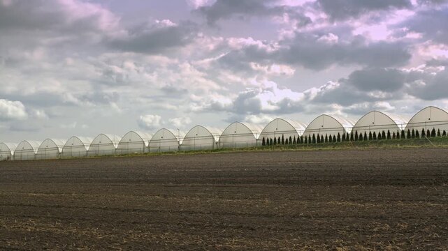 Rows of hoop greenhouses line the horizon behind a freshly tilled field beneath a dramatic cloudy sky, conveying commercial horticulture, protected cultivation and modern agricultural landscape themes
