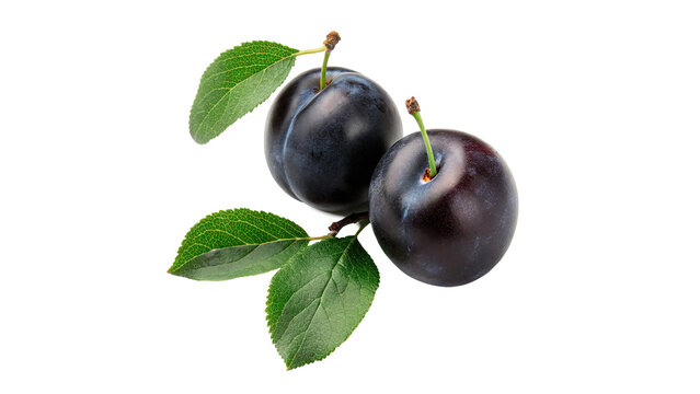 Group of fresh organic purple plum fruits with leaves isolated on transparent background
