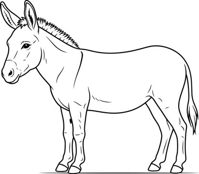 sketch of a donkey
