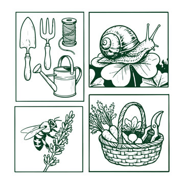 Hand drawn green vector illustration featuring gardening tools and friendly insects in panels