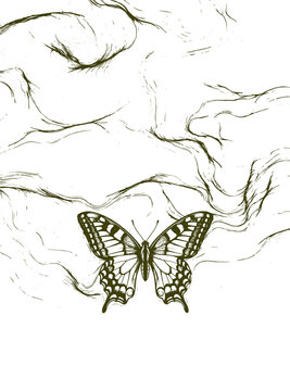 Detailed vector illustration of beautiful butterfly flying amidst abstract swirling organic wooden lines