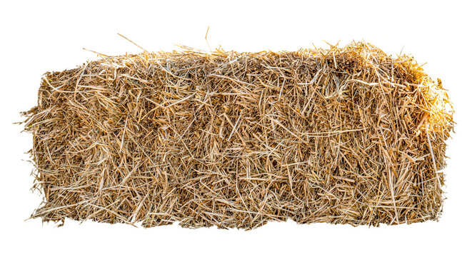 hay stack, straw bundle, dry grass, farming crop, agricultural feed, cattle food, hay stack PNG, PNG