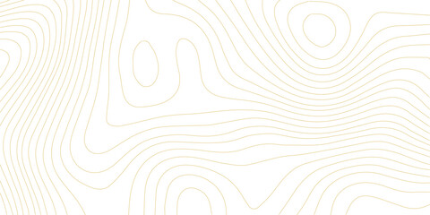 Elegant golden topographic contour map lines flowing across white space with topography geography cartography landscape metallic abstract background geometric decorative © AbuTalha