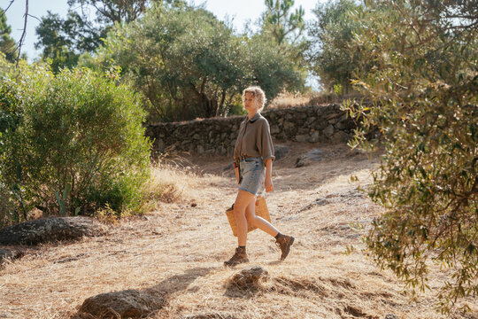 Woman Walking with Wicker Basket Through Sunlit Mediterranean Olive Grove