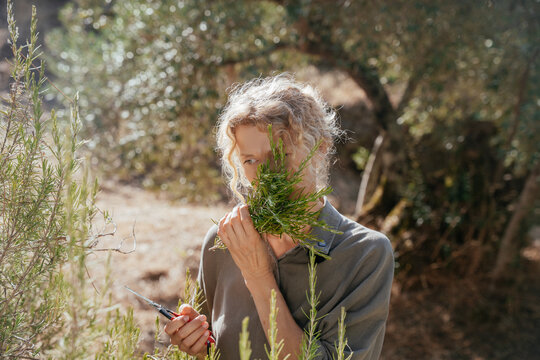 Woman Smelling Fresh Rosemary Bouquet During Herb Harvest in Sunny Garden