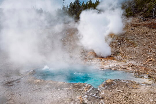 Beryl Spring right off the Grand Loop Road W side in the Gibbon Geyser Basin, large hot spring flowing at 91 &ordm;C in average. Yellowstone NP-WY-USA-026