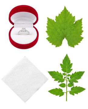 Diamond ring in red box with green leaves and paper napkin