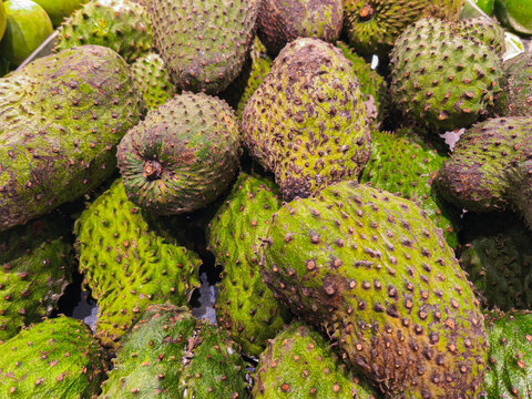 Close up of green soursop fruits with prickly skin stacked at a fruit market