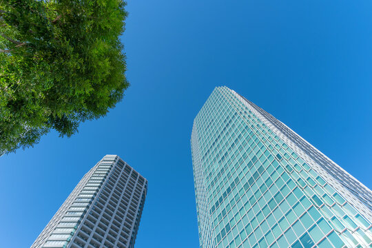 マンション